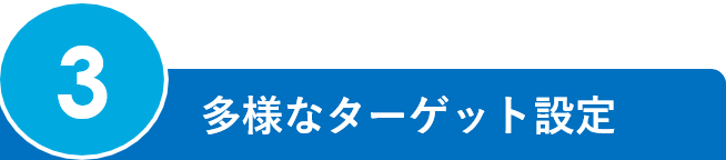 3.多様なターゲット設定